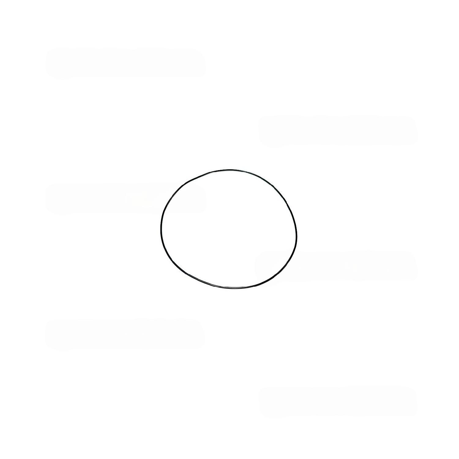 Прокладка FAMA F2351