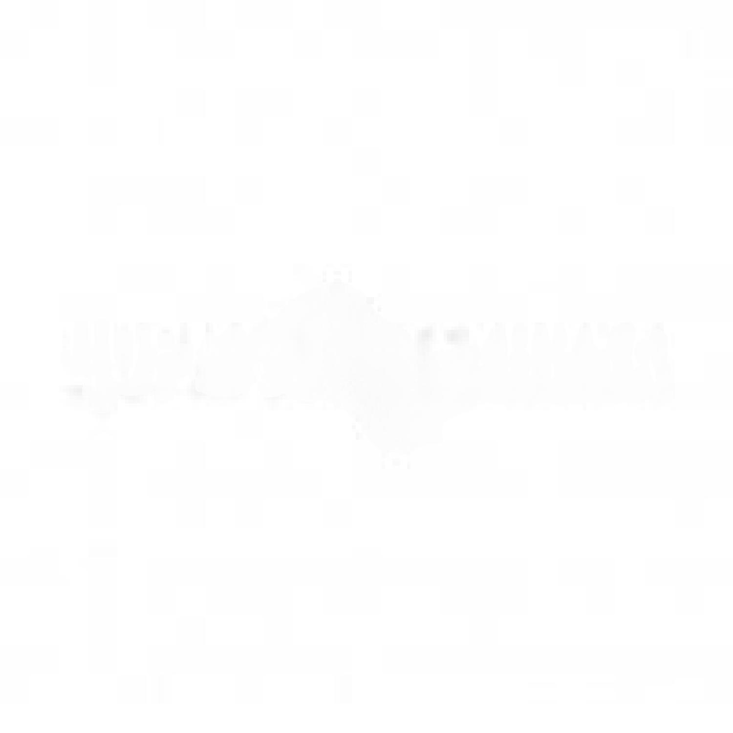 Кольцо толкателя Robot-coupe для CL50 100638