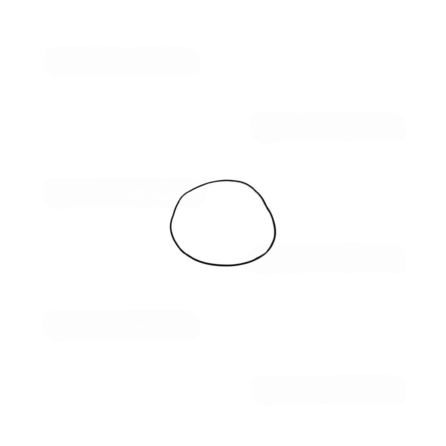 Прокладка насоса Олимпия 3186239